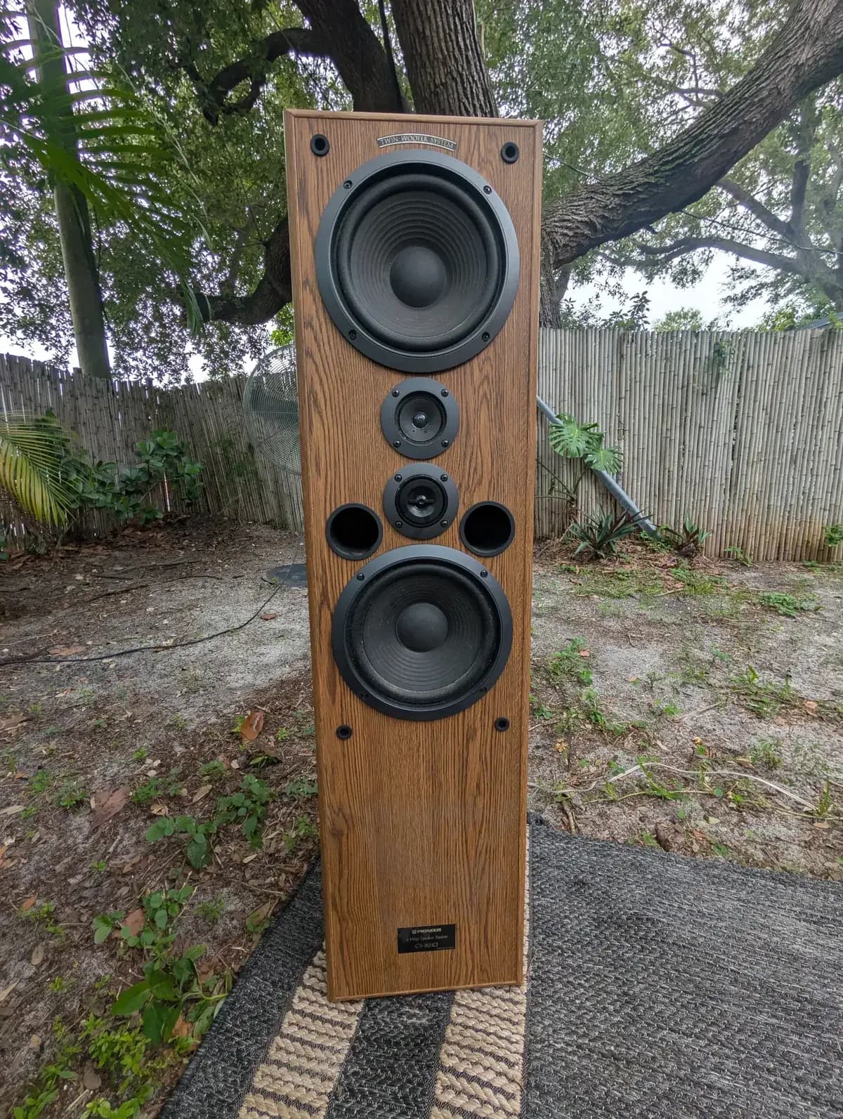 Pioneer CS-J821Q model badge detail on wood veneer